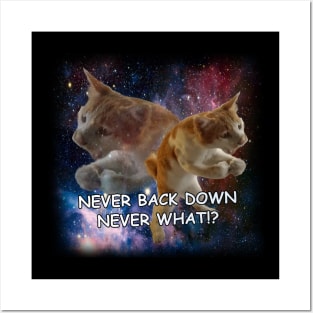 Never Back Down Never What Cat Meme Posters and Art